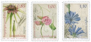 Légumes d'antan