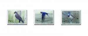 oiseaux