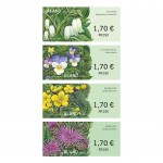 Vilda_Blommor_frim_webben