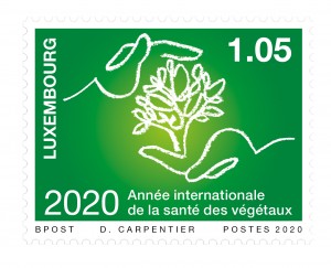 Année internationale
