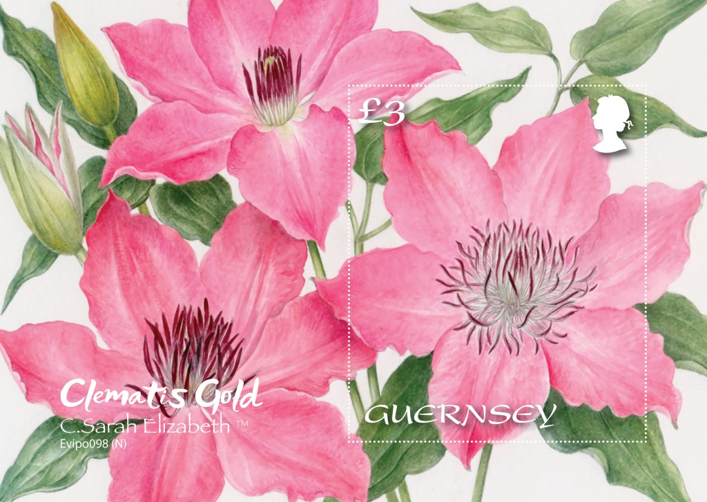Clematis Mini Sheet