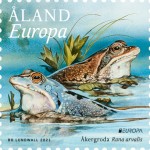 Europa_Åkergroda_35x35mm800dpi_RGB