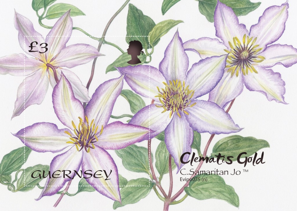 Clematis Miniature Sheet
