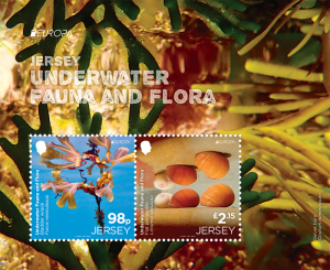 UNDERWATER FAUNA & FLORA SOUV MINI PERFED